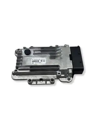 Hyundai Santa Fe Other control units/modules 0260004011 954413BRNO