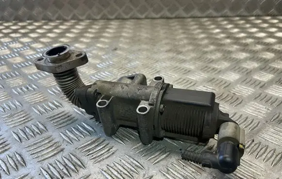 Opel Zafira B EGR valve 50024005