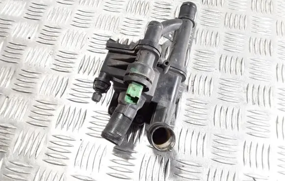 Thermostat/thermostat housing