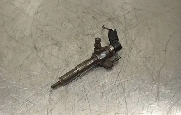 Ford Focus Fuel injector 9802448680 50274V05 66662