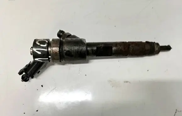 Suzuki Grand Vitara II Fuel injector 8200389369 0445110230