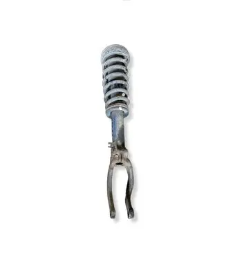 BMW X6 E71 Front shock absorber/damper 