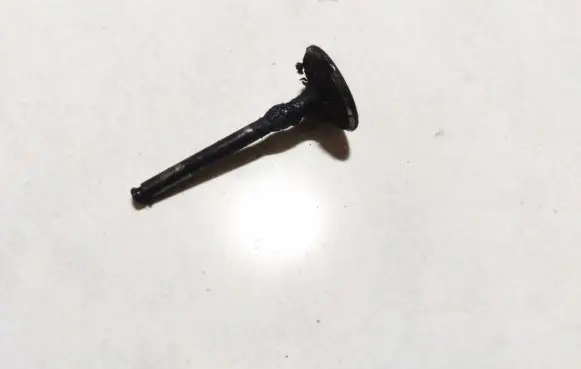 Rover 414 - 416 - 420 Valve 
