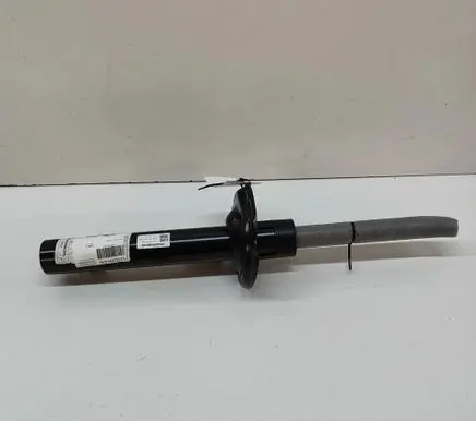 Skoda Enyaq iV Front shock absorber/damper 1EA413023BG