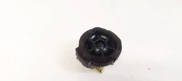 Front door speaker