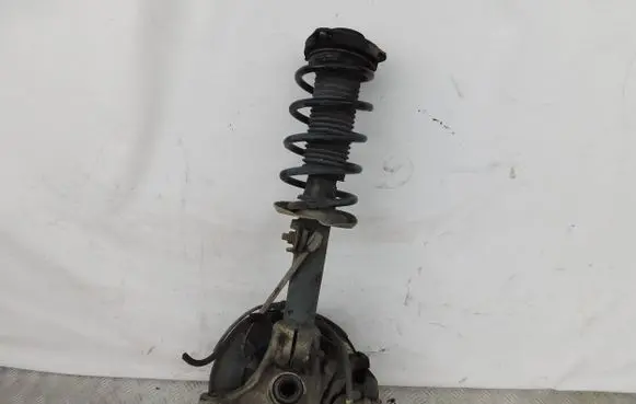 Volkswagen PASSAT B6 Front wheel hub spindle knuckle
