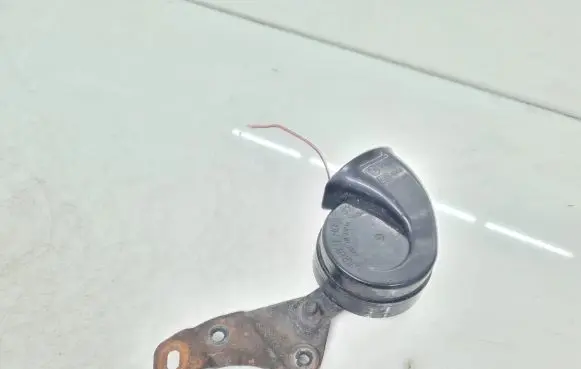 Horn signal