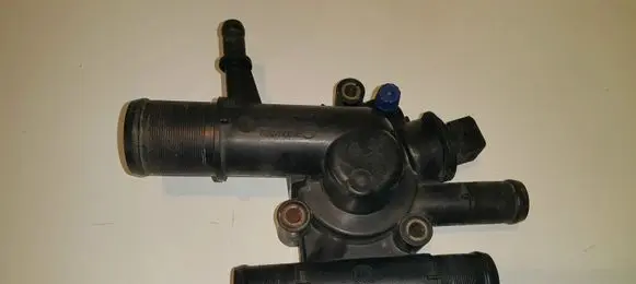 Thermostat/thermostat housing