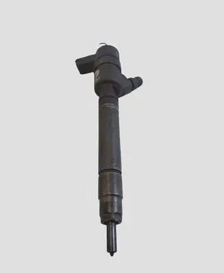 Volvo V70 Fuel injector 0445110251