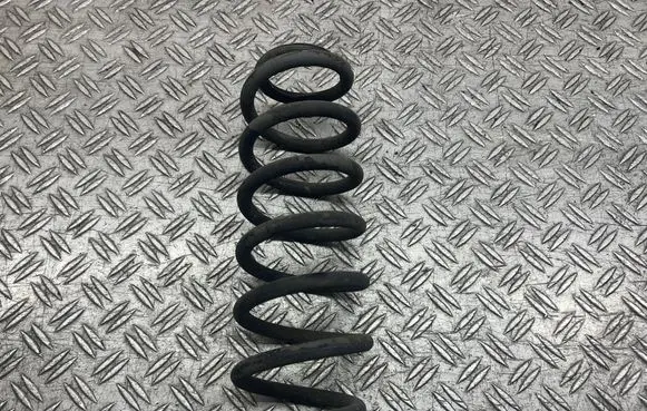 Rear coil spring