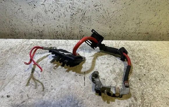 Positive wiring loom