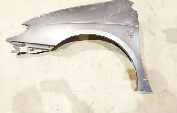 Renault Scenic I Fender 