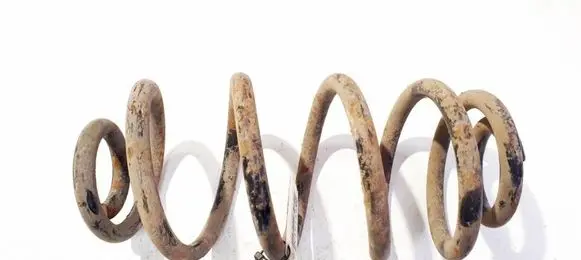 Opel Insignia A Rear coil spring 