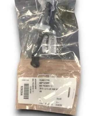 KIA Picanto Loading door check strap stopper 794801Y000