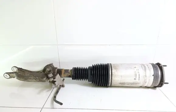 Land Rover Discovery 5 Air suspension front shock absorber HY323C285BE