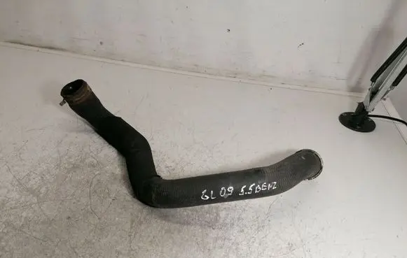 Mercedes-Benz GL X164 Engine coolant pipe/hose A1645010682