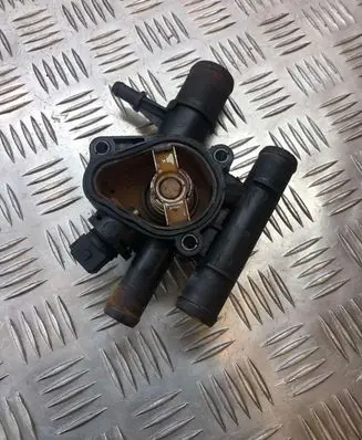 Thermostat/thermostat housing