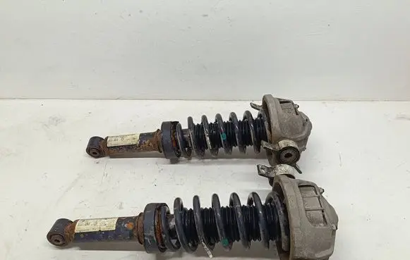 Volkswagen Touareg I Rear shock absorber/damper 7L6513029E 7L6512021T 804900558286