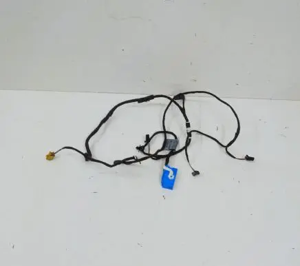 Audi Q5 SQ5 Front door wiring loom 80A971036E