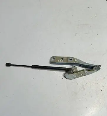 Engine bonnet/hood hinges