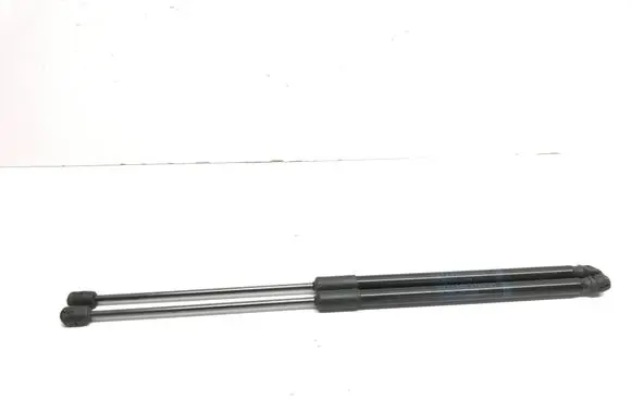 Tailgate strut