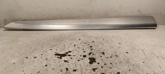 BMW 5 F10 F11 Rear door trim (molding) 509488