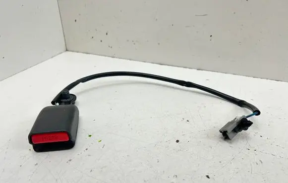 Tesla Model S Rear seatbelt buckle 101879100D
