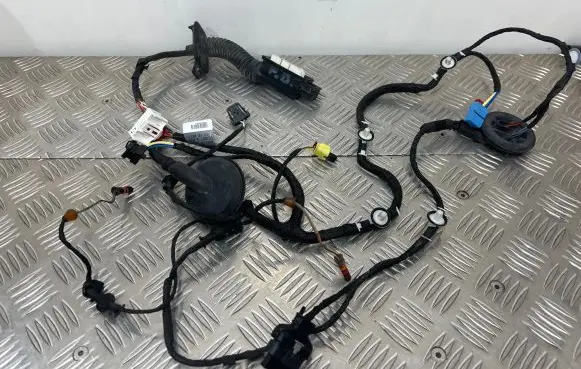 Front door wiring loom