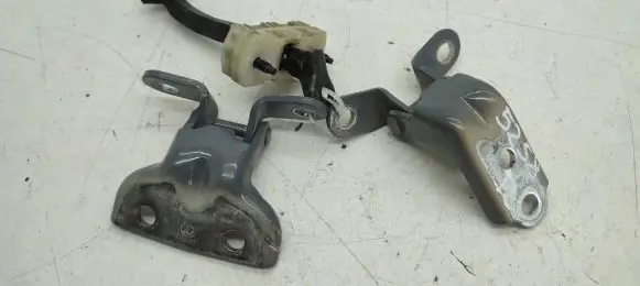Hyundai Elantra VII Rear door hinge set 