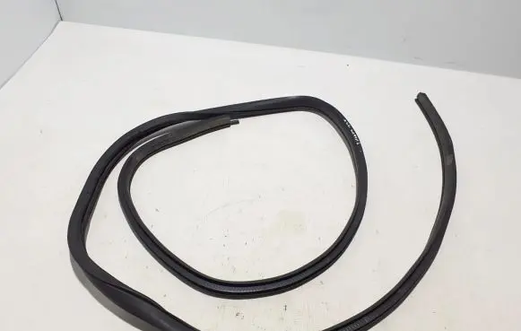 Nissan Pulsar Rear door rubber seal (on body) 769243ZL0A