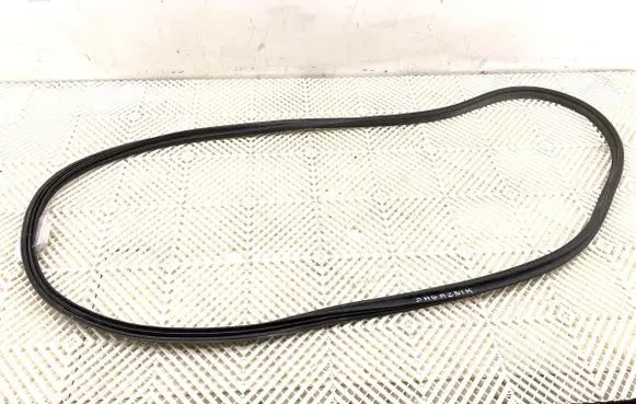 KIA Niro Rubber seal front door (on door)