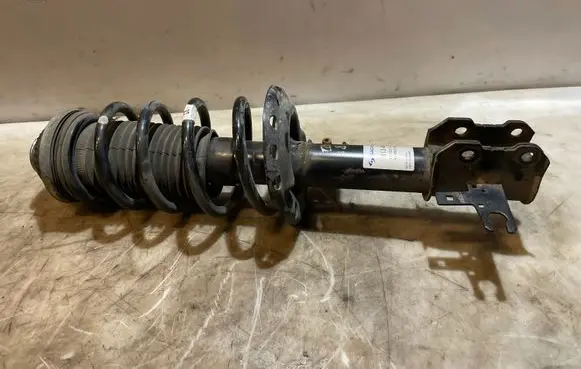 Opel Zafira B Front shock absorber with coil spring 313480