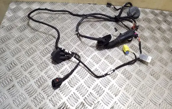 Audi Q5 SQ5 Front door wiring loom 8R0971029AE