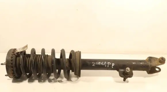 Chrysler 300 - 300C Front shock absorber with coil spring 04895412AC