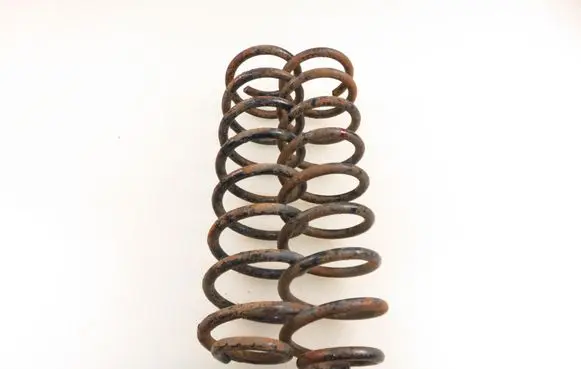Renault Megane II Rear coil spring