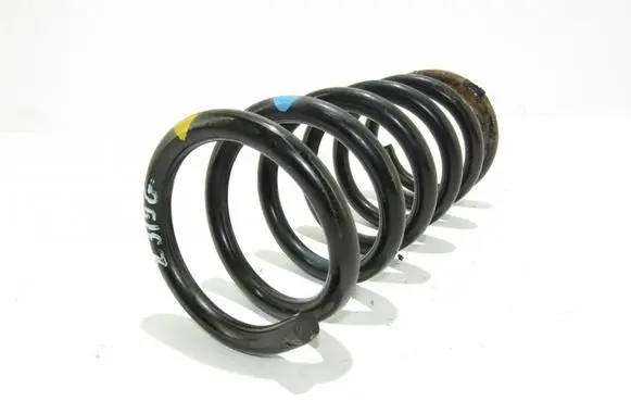 Opel Antara Rear coil spring