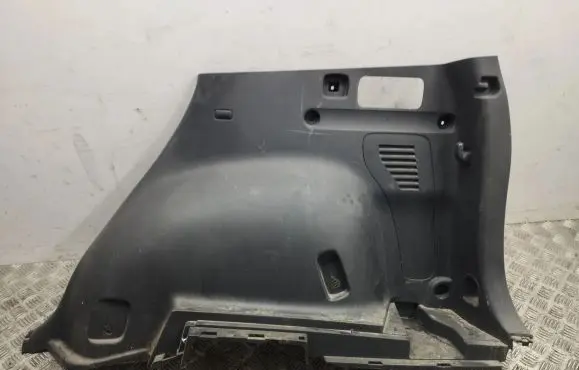 Toyota RAV 4 (XA30) Trunk/boot side trim panel 6473042070