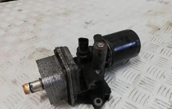 Citroen DS4 Oil filter mounting bracket 9807594380 V15L0647