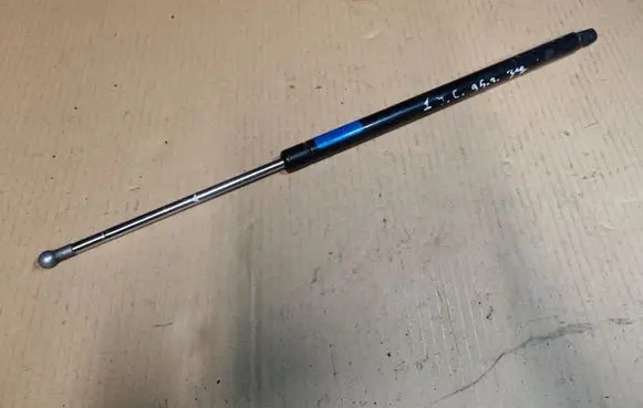 Tailgate/trunk strut/damper