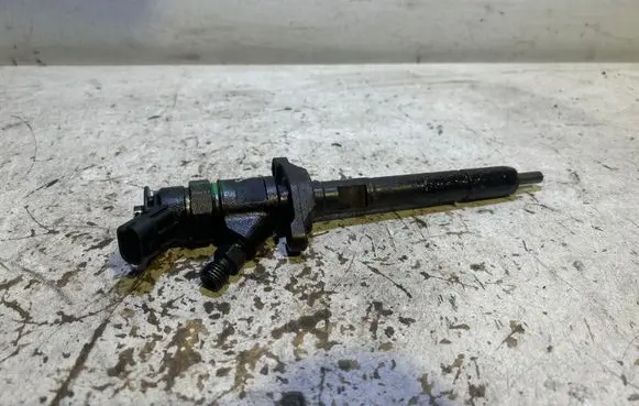 Citroen C5 Fuel injector 0445110297