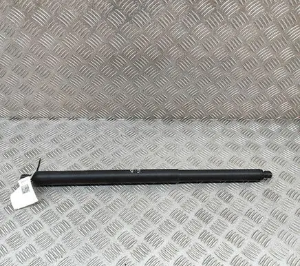 KIA EV6 Tailgate/trunk strut/damper 81841CV100