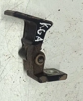 Volkswagen Tiguan Rear door lower hinge