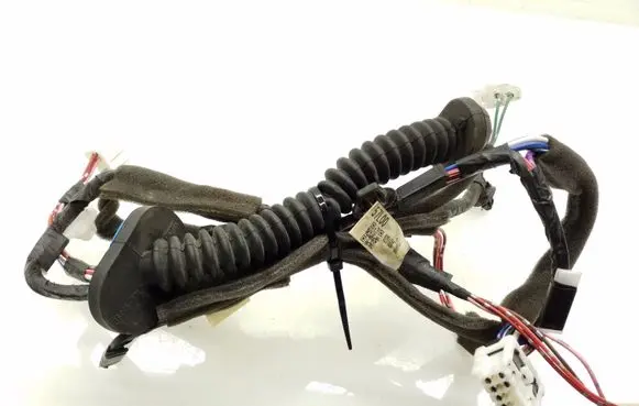 Rear door wiring loom