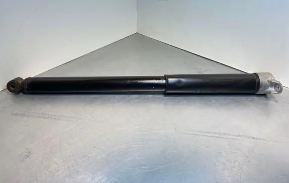 Ford C-MAX II Rear shock absorber/damper FS17709