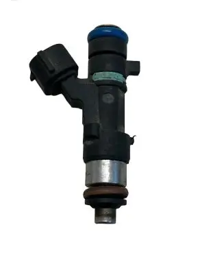 Renault Koleos I Fuel injector 16600JA000