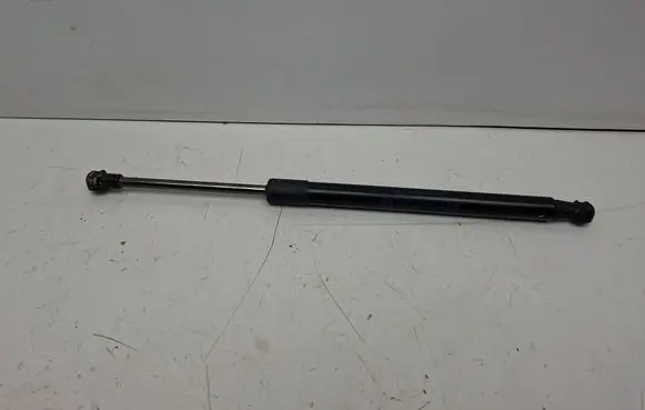 Tailgate/trunk/boot hinge