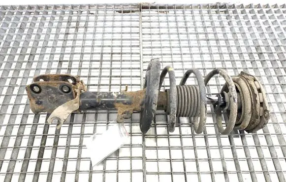 Renault Scenic III - Grand scenic III Front shock absorber/damper 543022646R
