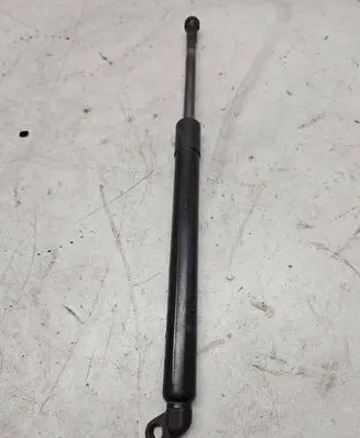 Tailgate strut