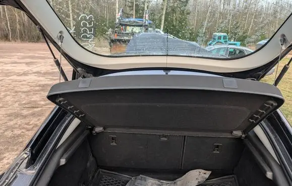 Opel Insignia A Parcel shelf load cover 