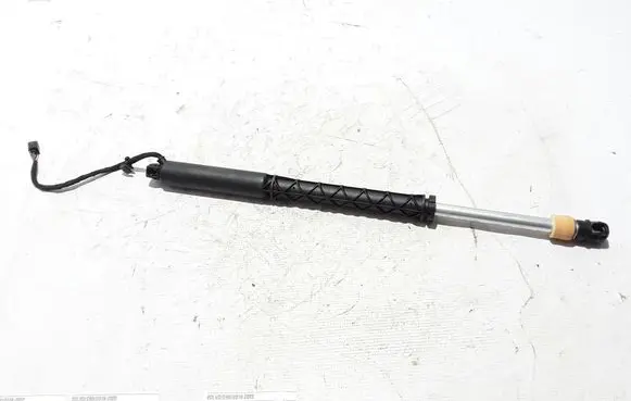 Tailgate strut